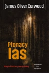 Płonący las - zdjęcie