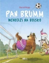 Pan Brumm wchodzi na boisko - zdjęcie