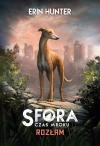 Sfora. Tom 7. Rozłam - zdjęcie