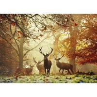 Puzzle 1000 elementów. Magiczny las. Jelenie, zdjęcie 2