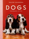 Walter Chandoha Dogs Photographs 1941-1991 - zdjęcie