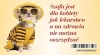 Magnes na lodówkę. Szafa jest dla kobiety jak lekarstwo - zdjęcie