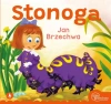 Stonoga - zdjęcie