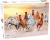 Puzzle 1000el Animals: Wild Horses TACTIC - zdjęcie