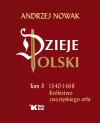 Dzieje Polski. Tom 3. 1340-1468 Królestwo zwycięskiego orła - zdjęcie