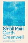 Small Rain - zdjęcie