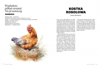 Głupie ptaki Polski. Przewodnik świadomego obserwatora, zdjęcie 2