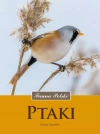 Ptaki. Fauna - zdjęcie