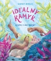 Idealny kamyk. Książka o sile rodziny - zdjęcie