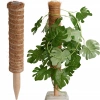 Podpora do Roślin Kokosowa 50CM Progarden - zdjęcie