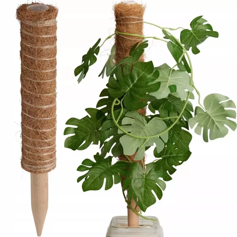 Podpora do Roślin Kokosowa 50CM Progarden