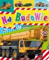 Na budowie 20 okienek - zdjęcie