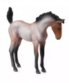 Żrebię Mustang maści gniadej M - zdjęcie