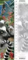 Zakładka 3D Lemur - zdjęcie