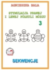 Stymulacja prawej i lewej półkuli mózgu. Część 3. Sekwencje - zdjęcie