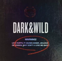 Dark & Wild, CD, zdjęcie 5