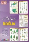 Ilustrowane atlasy szkolne. Atlas roślin. Budowa, rozwój, rodzaje, gatunki - zdjęcie