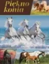 Piękno konia - zdjęcie