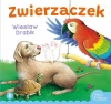 Zwierzaczek - zdjęcie