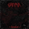 Lauks LP, Winyl - zdjęcie