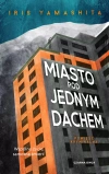 Miasto pod jednym dachem - zdjęcie