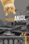 Psychoanioł w dublinie - zdjęcie