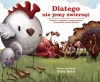 Dlatego nie jemy zwierząt - zdjęcie