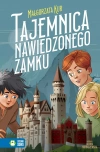 Tajemnica nawiedzonego zamku - zdjęcie