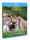 Saga prastarej puszczy, 3 Blu-ray - zdjęcie