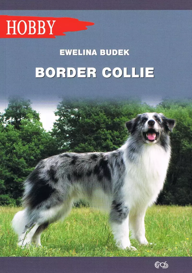 Border Collie (wyd. 2020) Border Collie (wyd. 2020)