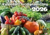 Kalendarz 2026 Biodynamiczny KA1 - zdjęcie