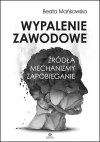 Wypalenie zawodowe. Źródła, mechanizmy, zapobieganie - zdjęcie