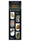 Zakładki magnetyczne. Natural History (6 sztuk) - zdjęcie
