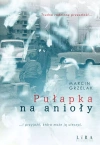 Pułapka na anioły - zdjęcie
