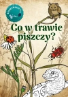 Kolorowanka. Co w trawie piszczy? - zdjęcie