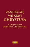 Zanurz się we Krwi Chrystusa - zdjęcie