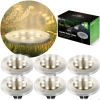 Lampka solarna naziemna 6szt Ilumen LS-104 - zdjęcie