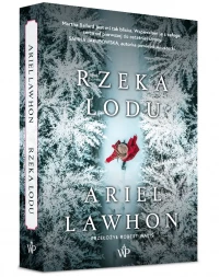 Rzeka lodu, zdjęcie 2
