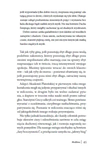 Zapach pomarańczy, zdjęcie 9