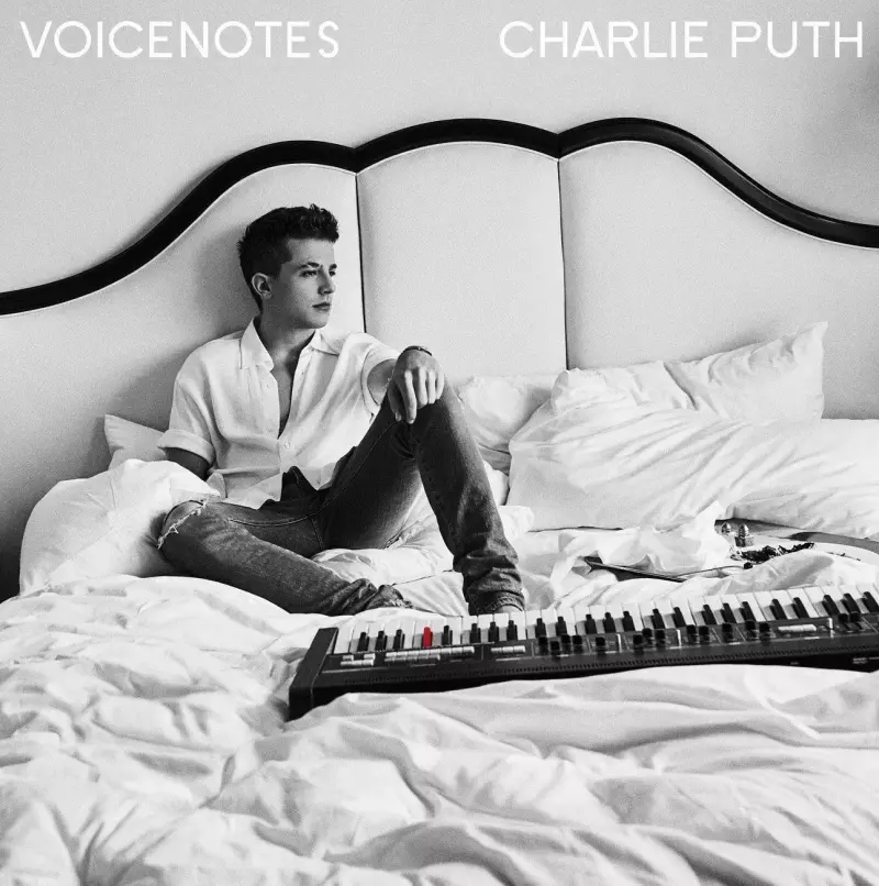 Voicenotes, CD