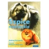 Szpice niemieckie - zdjęcie