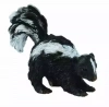Skunks S - zdjęcie