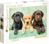 Puzzle 1000 elementów. High Quality Collection. Labradory - zdjęcie