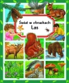 Świat w obrazkach. Las - zdjęcie