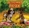 Bezdomny piesek - zdjęcie
