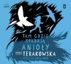 Tam, gdzie spadają Anioły. Audiobook - zdjęcie
