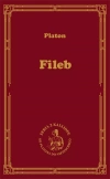 Fileb O rozkoszy średnich etycznych - zdjęcie