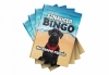 Sznaucer Bingo na tropie psigód - zdjęcie