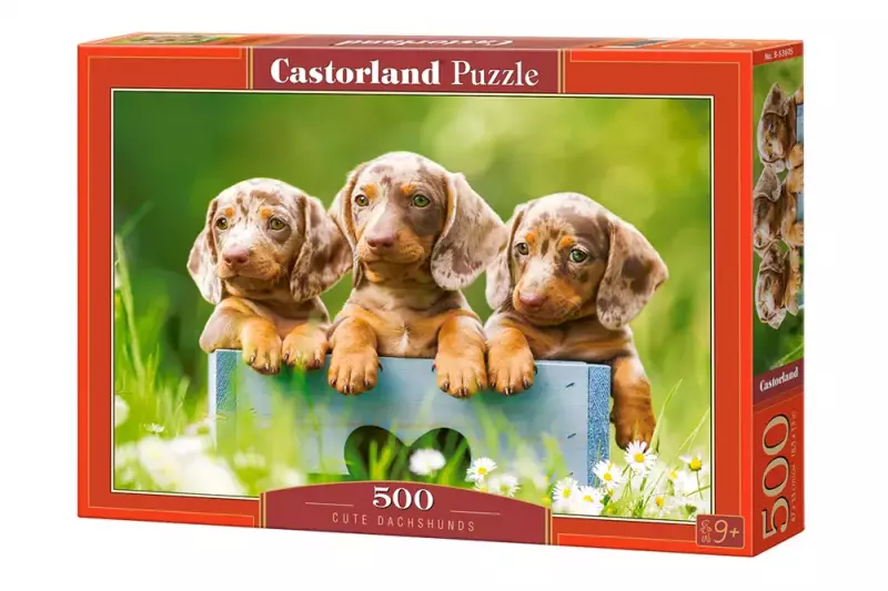 Puzzle 500 elementów. Cute Dachshunds Puzzle 500 elementów. Cute Dachshunds