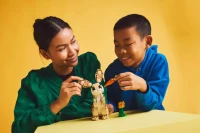 LEGO Creator 3 w 1 31162, zdjęcie 8